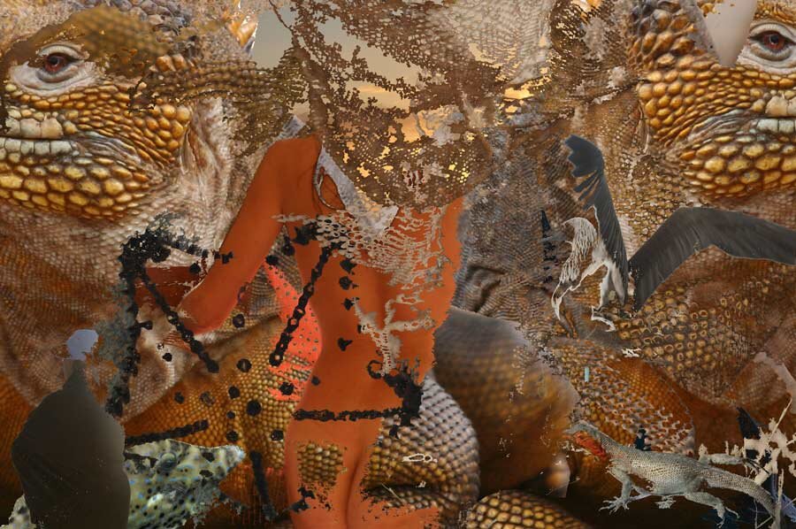 GOLDEN DRAGON (2011): Lizards are another consistent theme in my work as they often appear in my dreams. They perceive that which is not seen, but felt, much as we do when we are “in tune.” For me, the eyes of the endangered Galapagos Land Iguana e