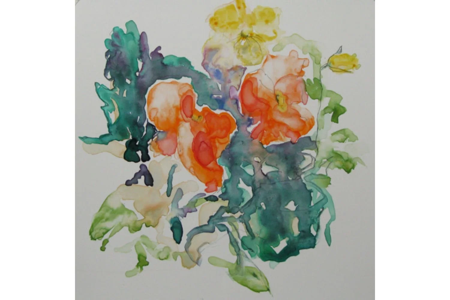 Violas #2