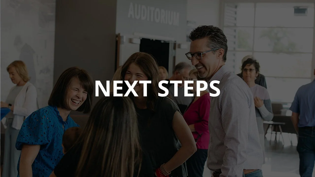 Next Steps