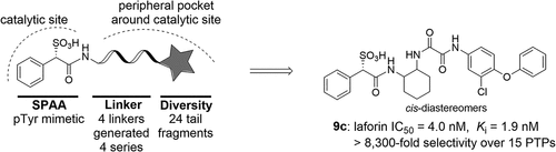 Discovery and Evaluation of Active Site-Directed, Potent, and Selective Sulfophenyl Acetic Amide-Based Inhibitors for the Laforin Phosphatase