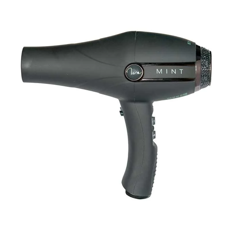 Mint Professional Stealth power and speed Hairdryer  $199.00