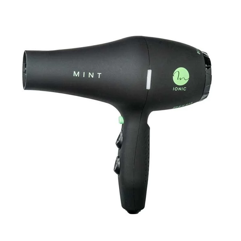 Mint Professional Blackbird Hairdryer $149.99