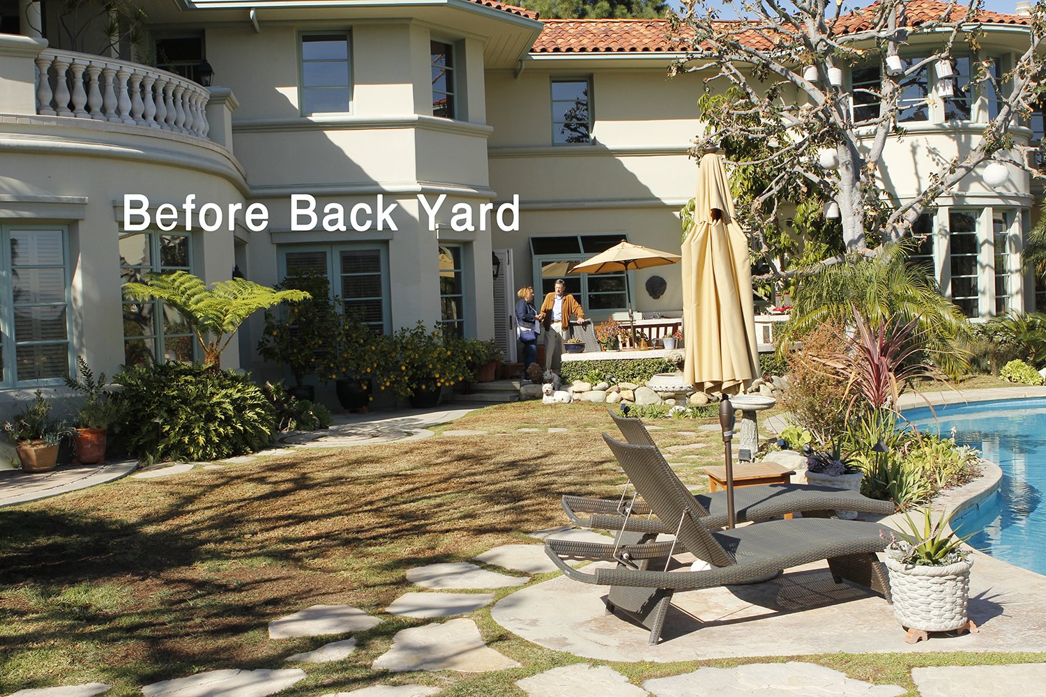 Whimsical Back Yard - Mulholland Estates - Backyard Before 2.jpg