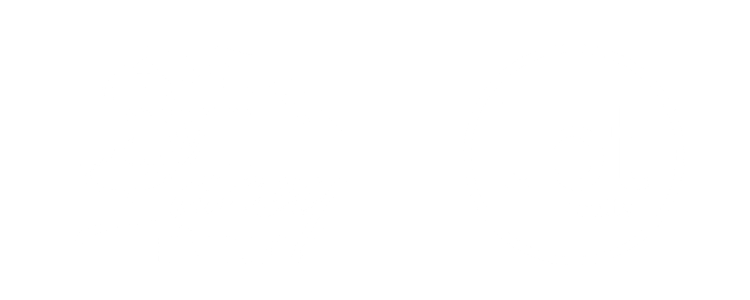 Dawn Lacey - Realtor