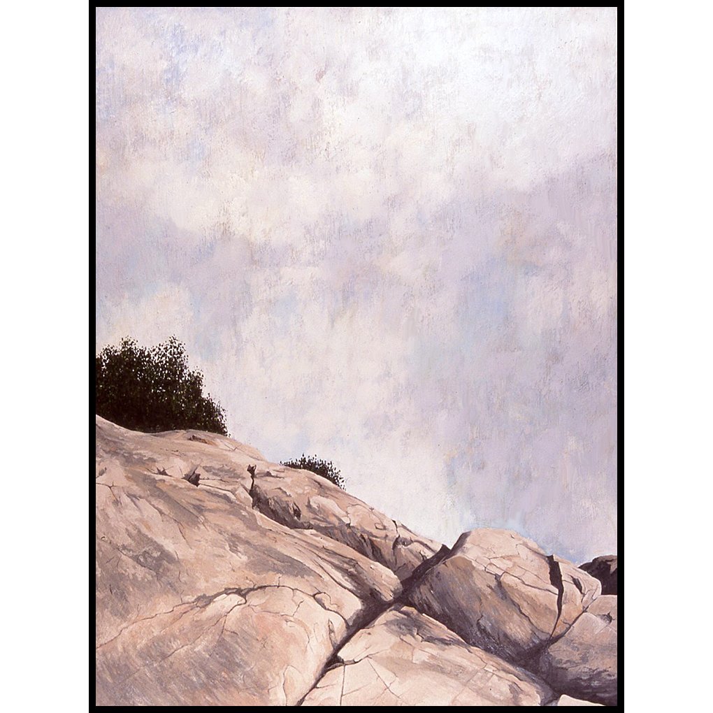 The Point