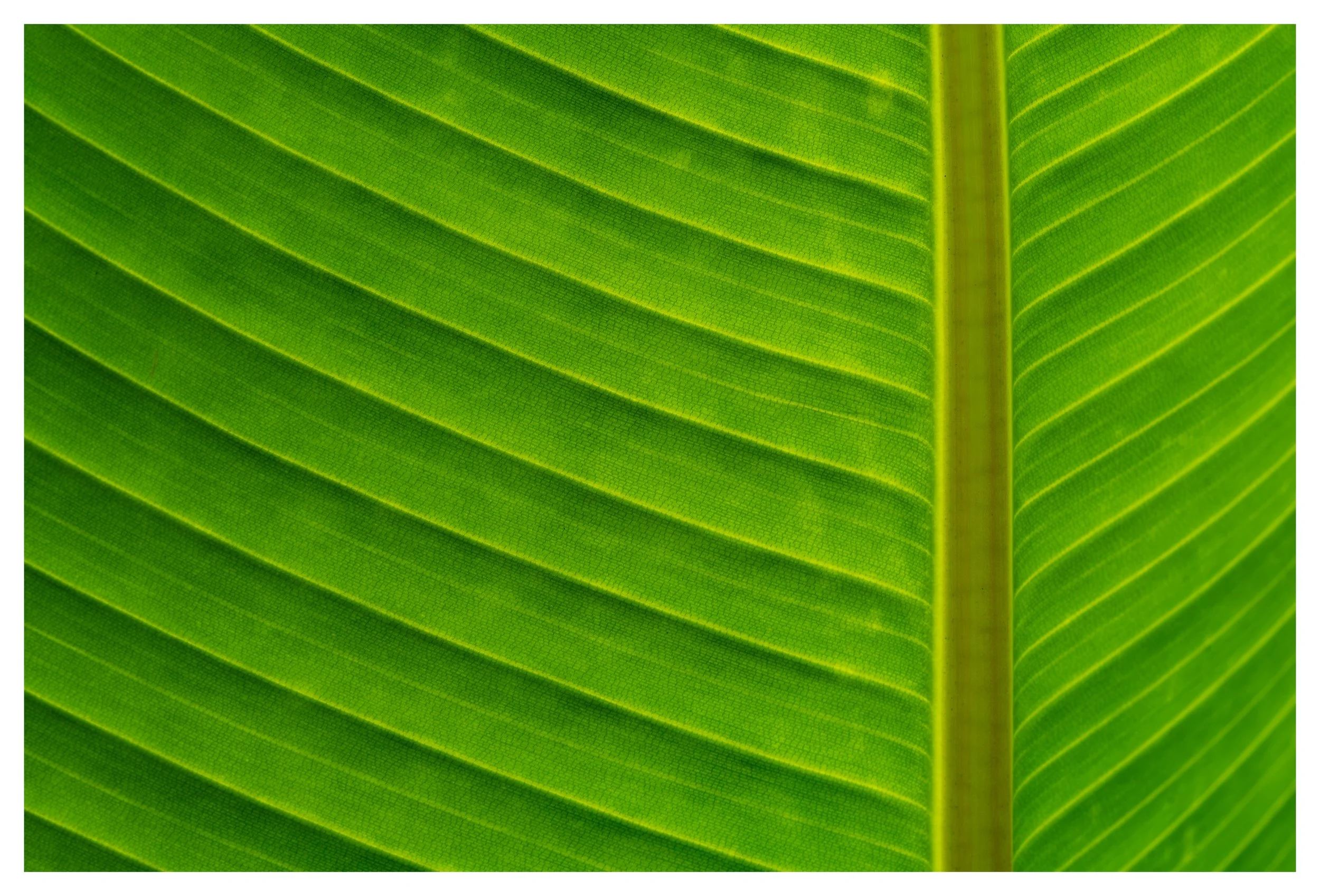Looking close 1-8.jpg