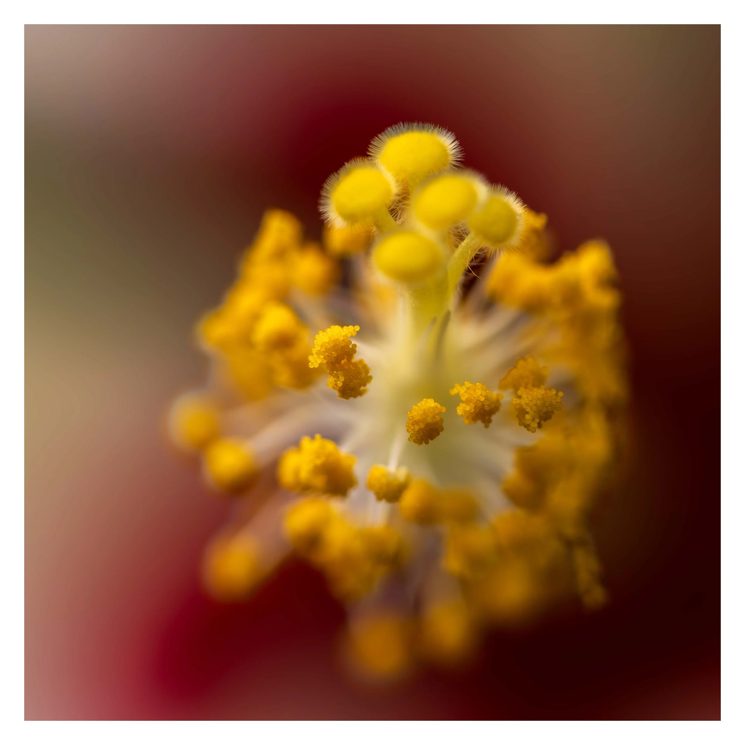 Looking close 1-9.jpg