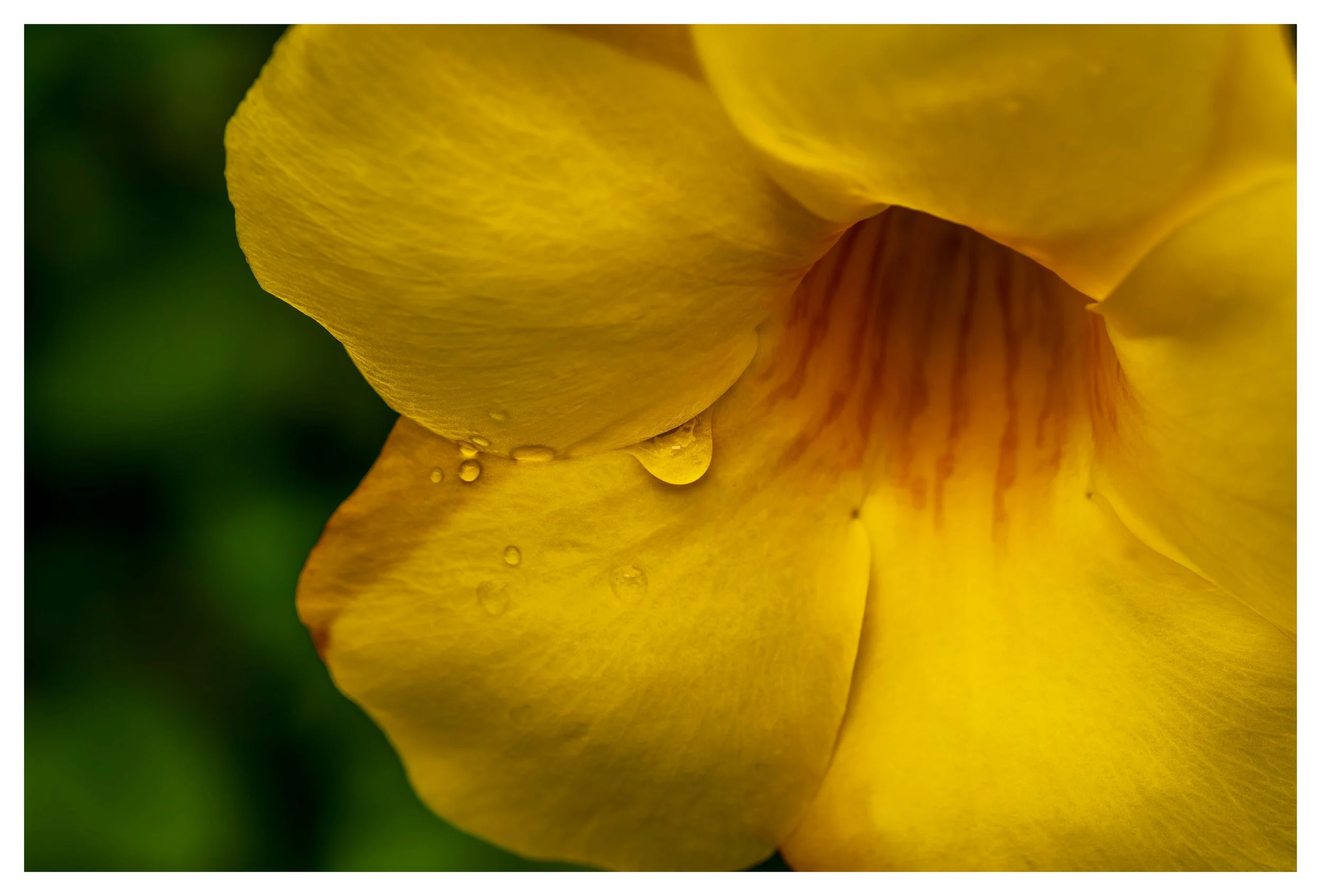 Looking close 1-3.jpg
