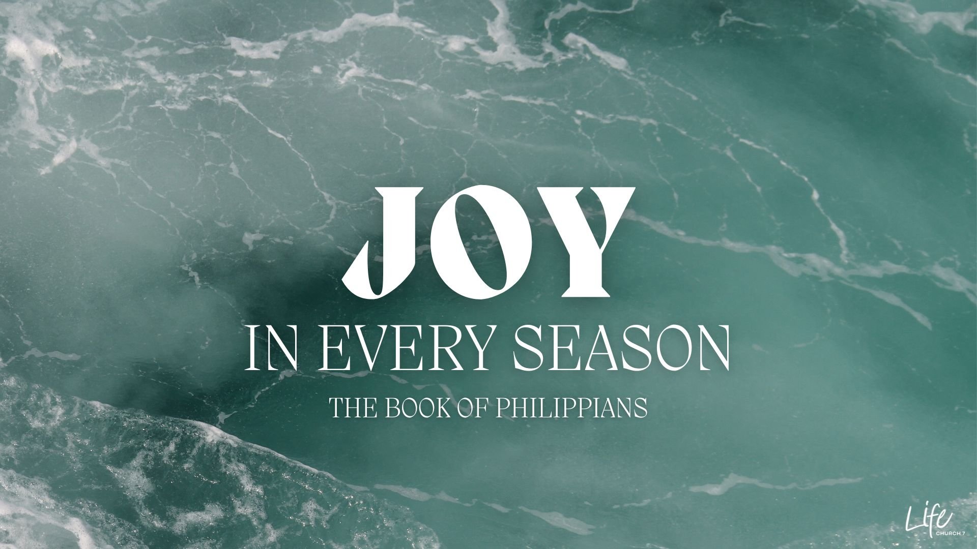 Joy in Every Season.jpg