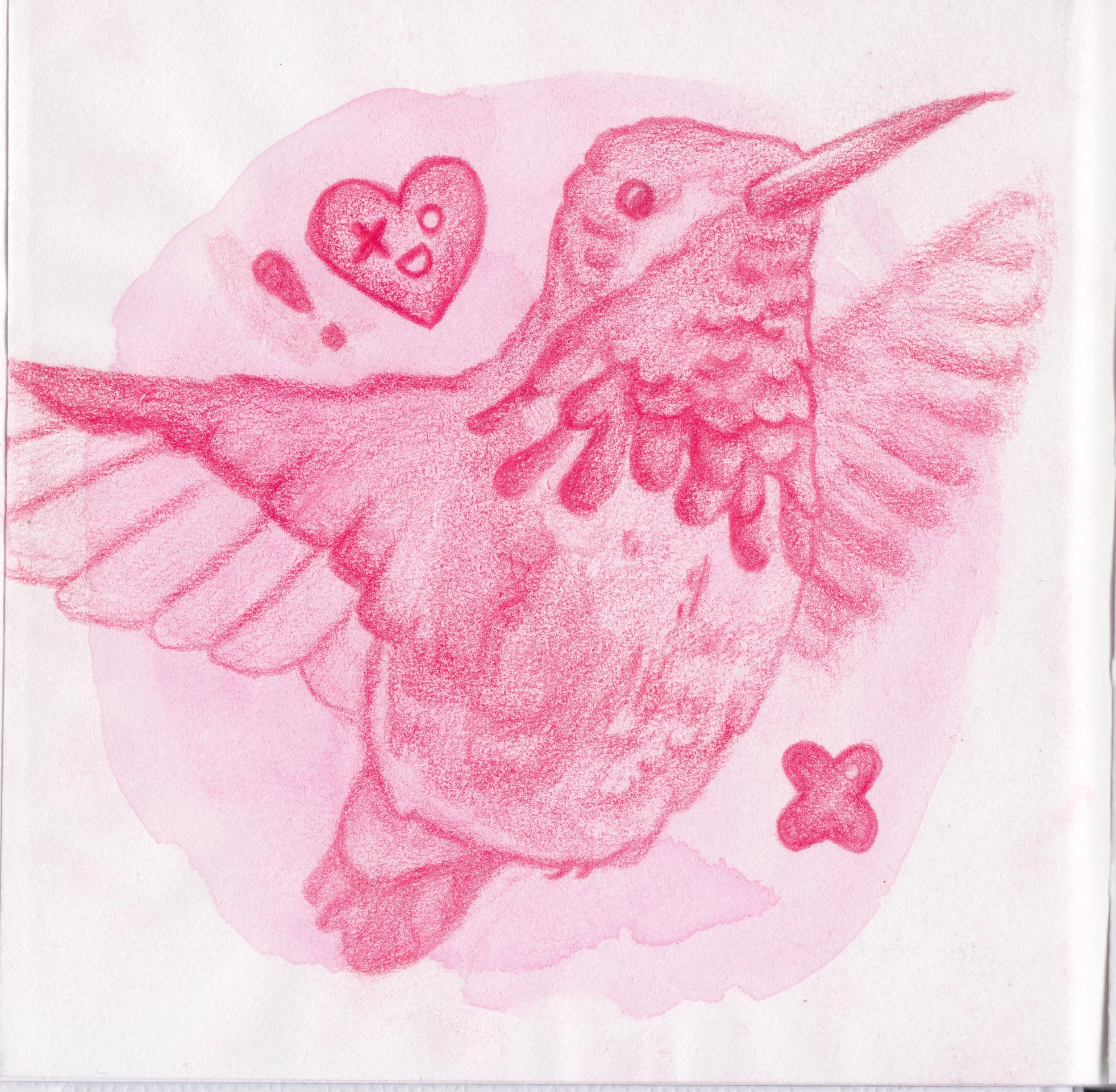 A hummingbird drawn in colored pencil against a pale pink watercolor background