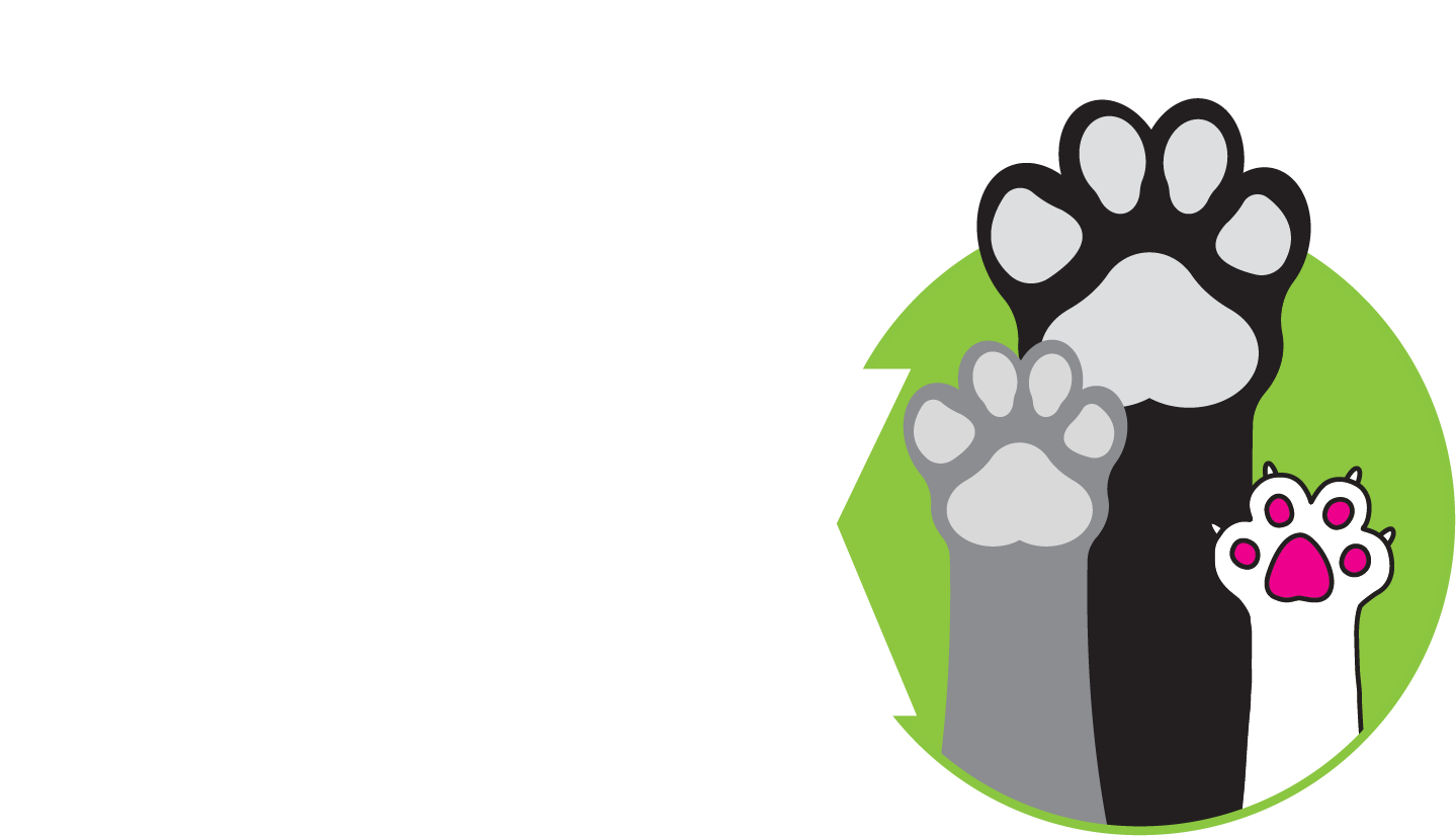 The Rescue Pack