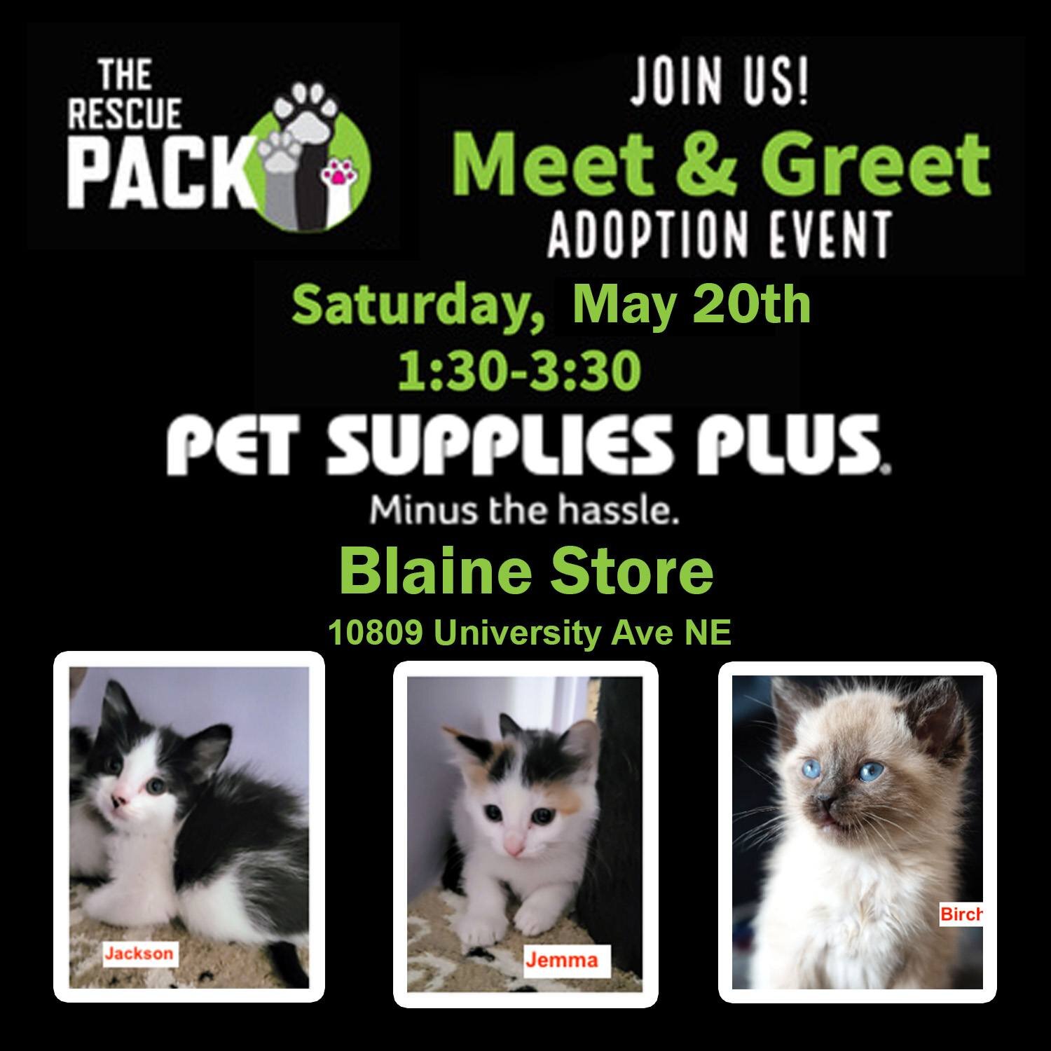 Calling all kitty lovers! This Saturday May 20th, we will have all sorts of kittens at our meet and greet event. Come to @petsuppliesplus_blaine  from 1:30 - 3:30 to meet your new best friend. There will be so many kittens to choose from! If you're i