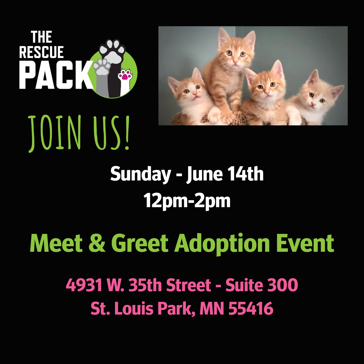 Meet &amp; Greet Adoption Event 