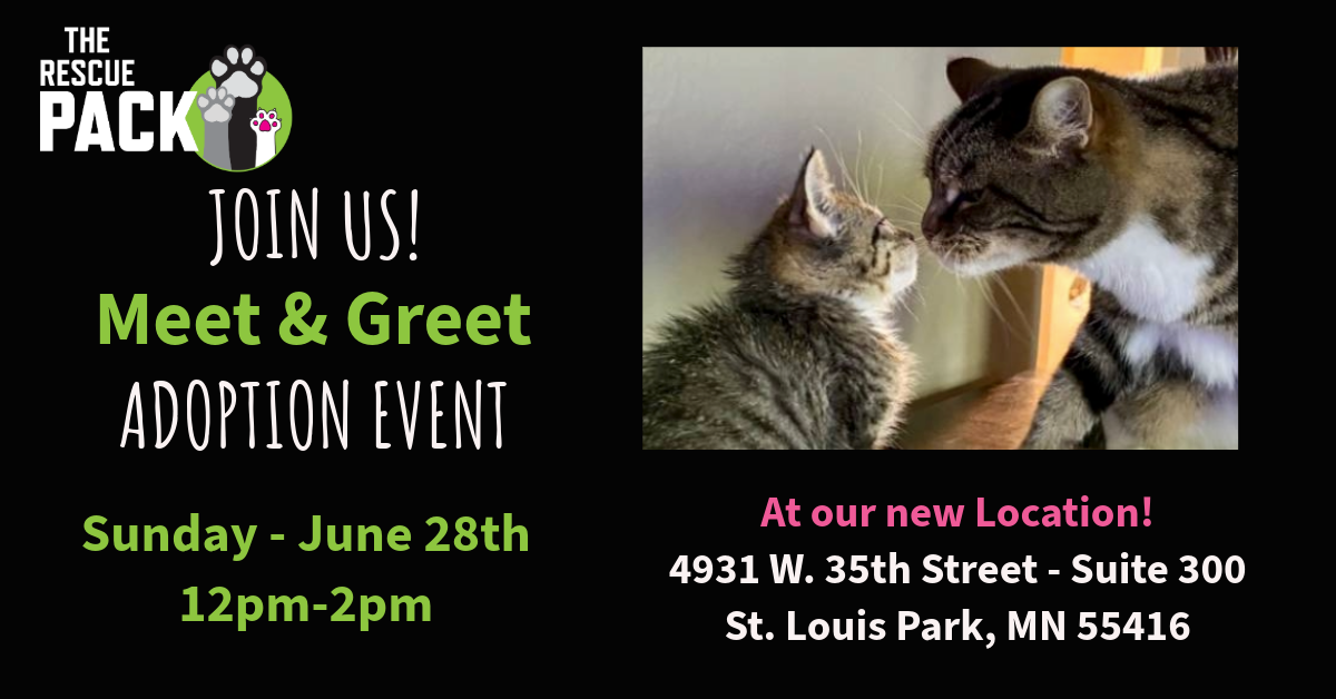 Meet &amp; Greet Adoption Event 