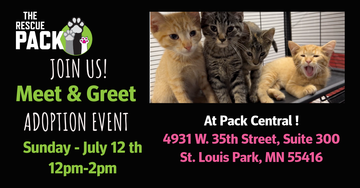 Meet &amp; Greet Adoption Event at Pack Central
