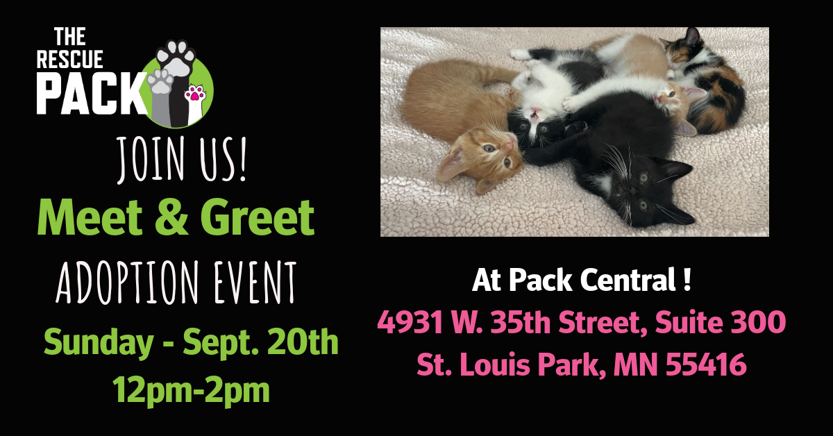 Meet &amp; Greet Adoption Event at Pack Central 