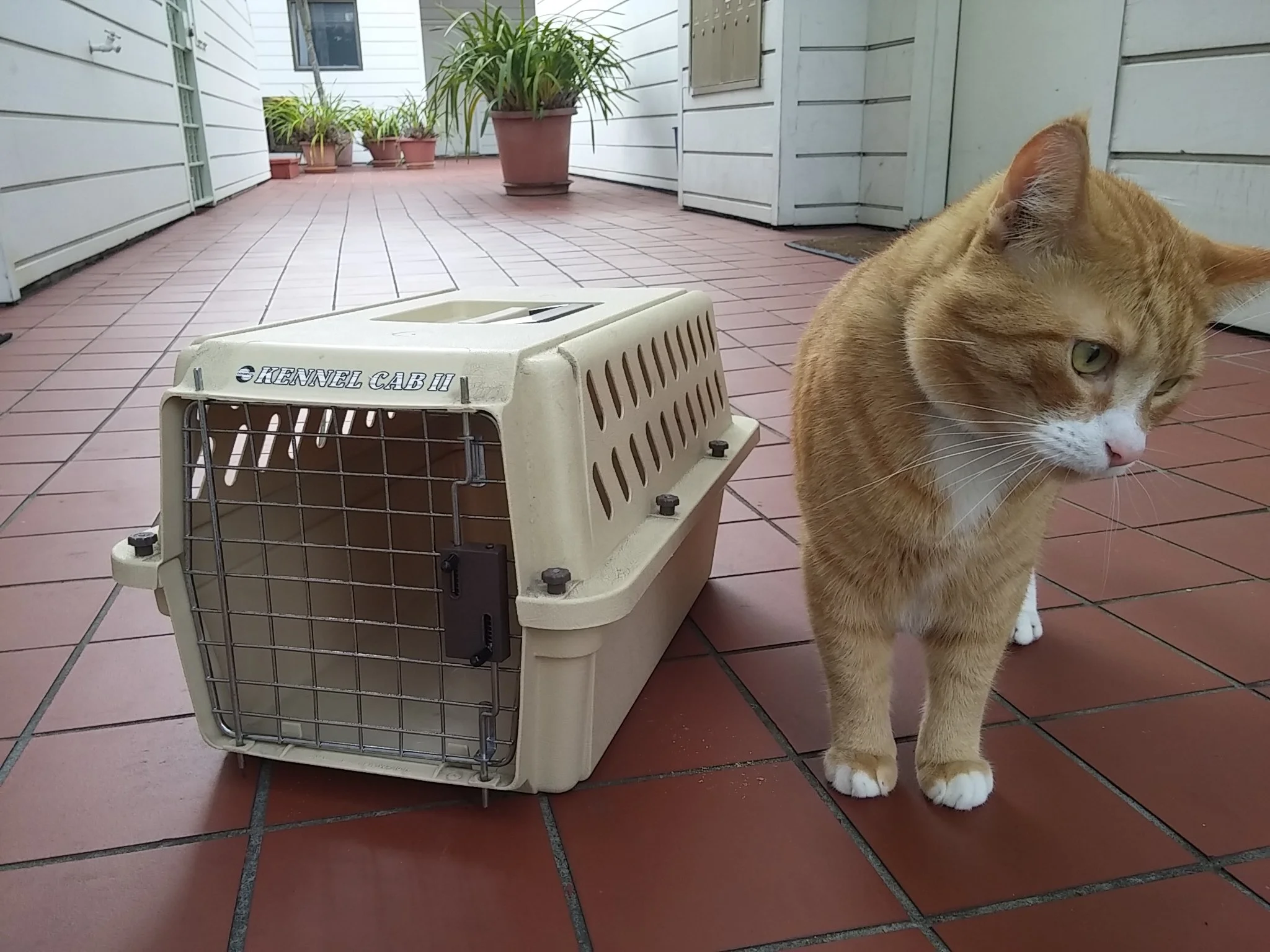 HarveyCarrier.jpg