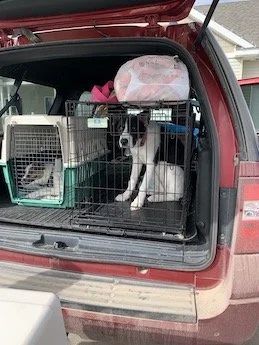 TRANSPORT