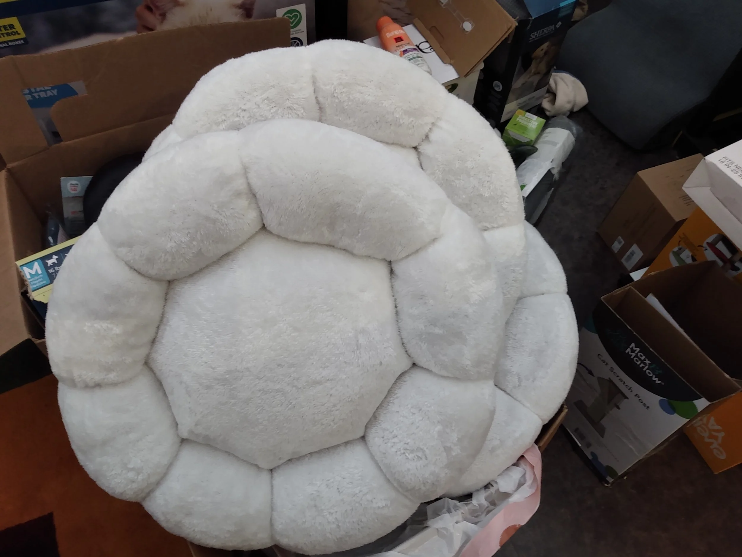CatBeds.jpg