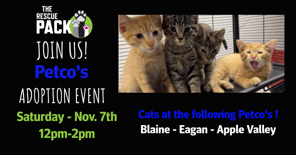 Petco - Nov 7th.png