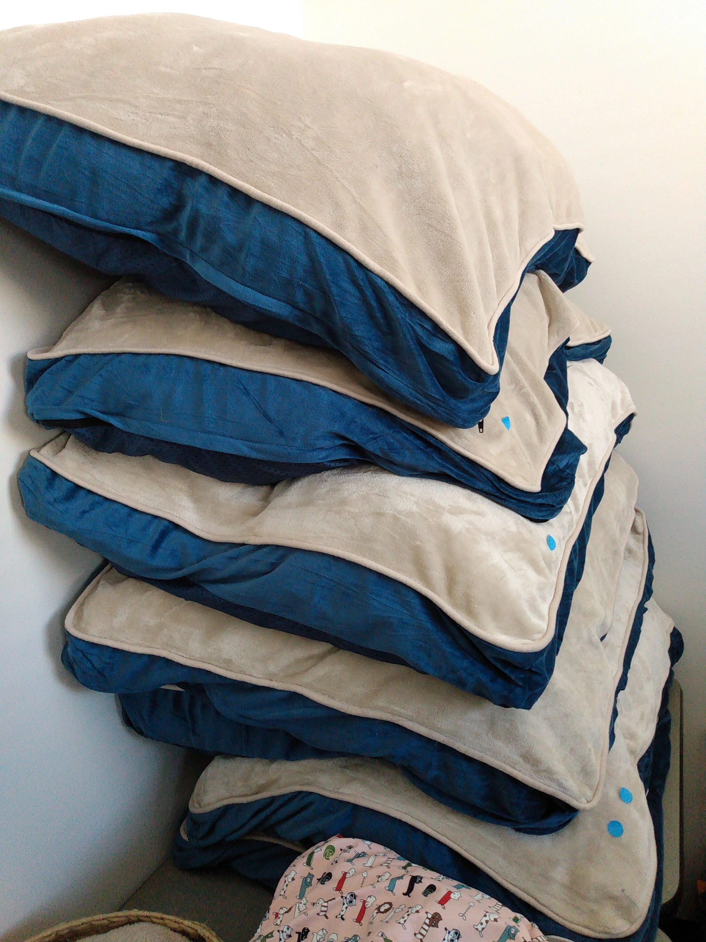 DogBeds.jpg