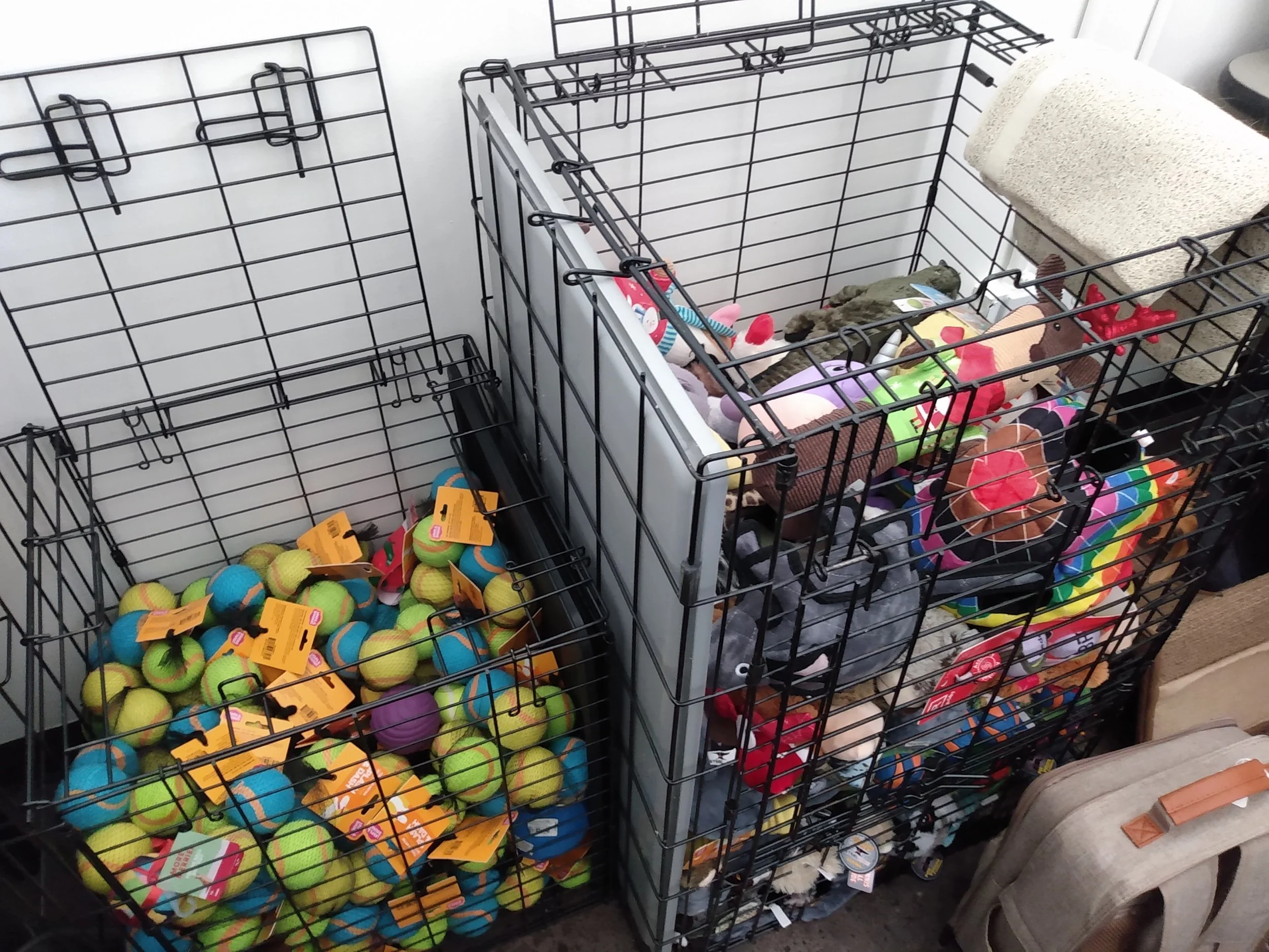 ToysDogBins.jpg