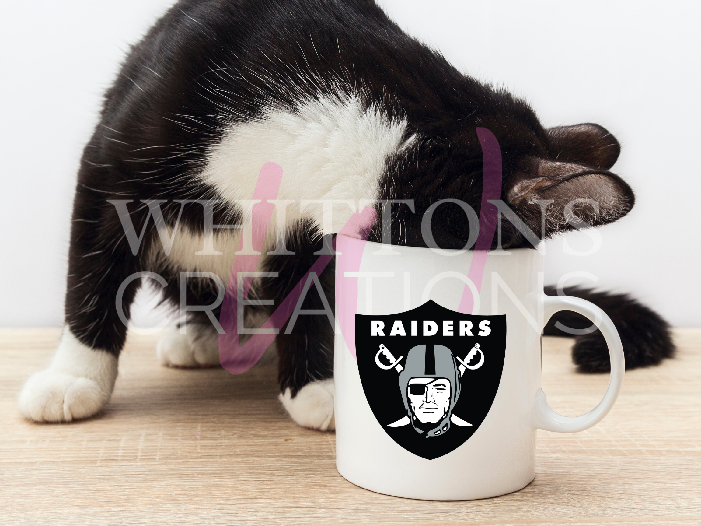 raiders3.png