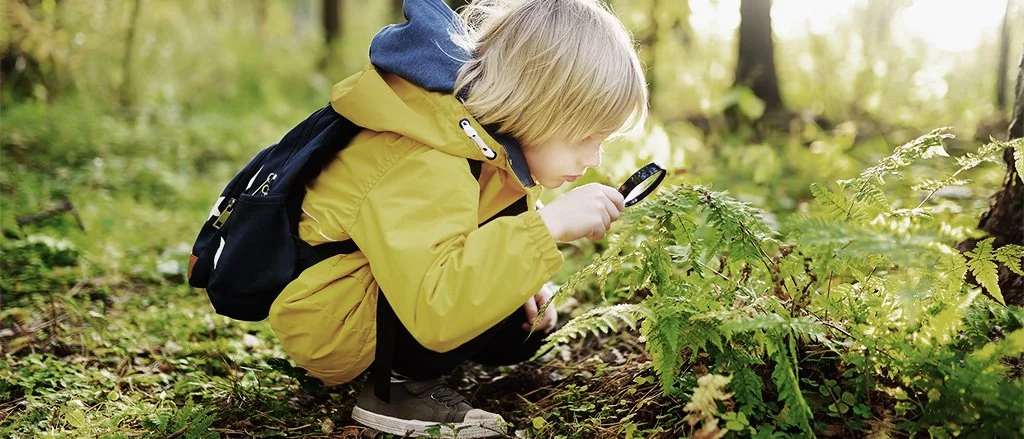 5 Terrific Inquiry-Based Learning Examples