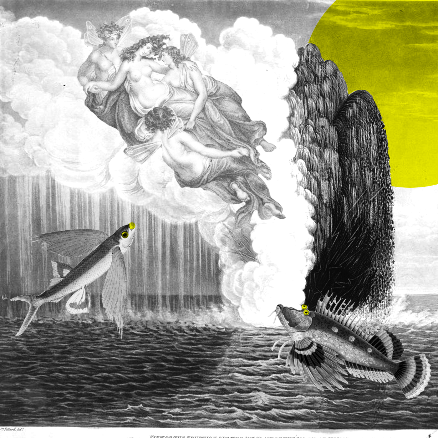 mix 29.png