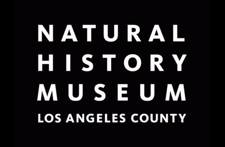 We were honored when the Manager of the Invertebrate and Vertebrate Living Collections at the Natural History Museum purchased the California native praying mantis species, Stagmomantis californica, from Mantis Universe! One of the most recognized na