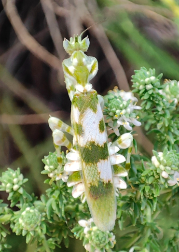 Screen Shot 2025-11-14 at 12.09.24 PM.png