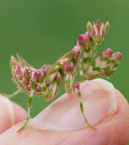 Screen Shot 2025-11-14 at 12.08.18 PM.png