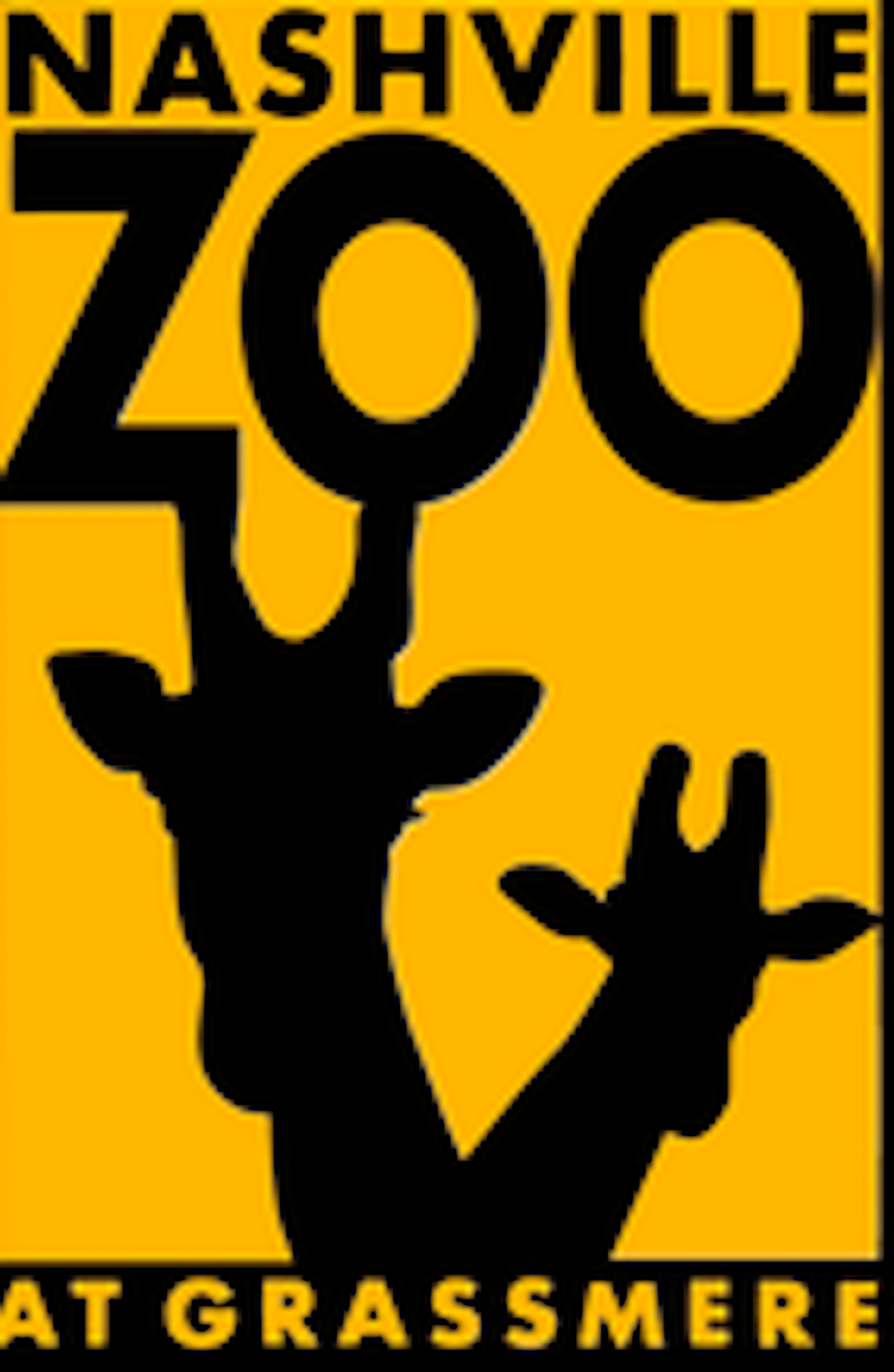 The Herpetology Department at The Nashville Zoo purchased a spiny flower (Pseudocreobotra wahlbergii) and ghost (Phyllocrania paradoxa) mantis from Mantis Universe for their arthropod collection.