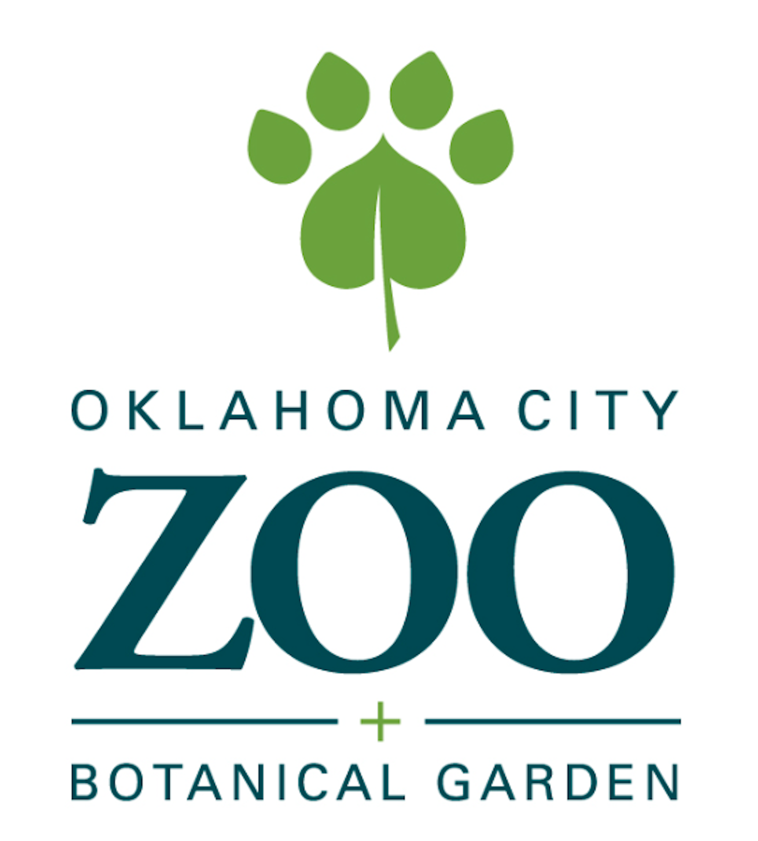 In preparation for their large Africa exhibit in 2023, the Oklahoma City Zoo and Botanical Gardens ordered a variety of African praying mantids. Their Assistant Curator of Herpetology chose two African praying mantis species- the Ghost mantis (Phyllo