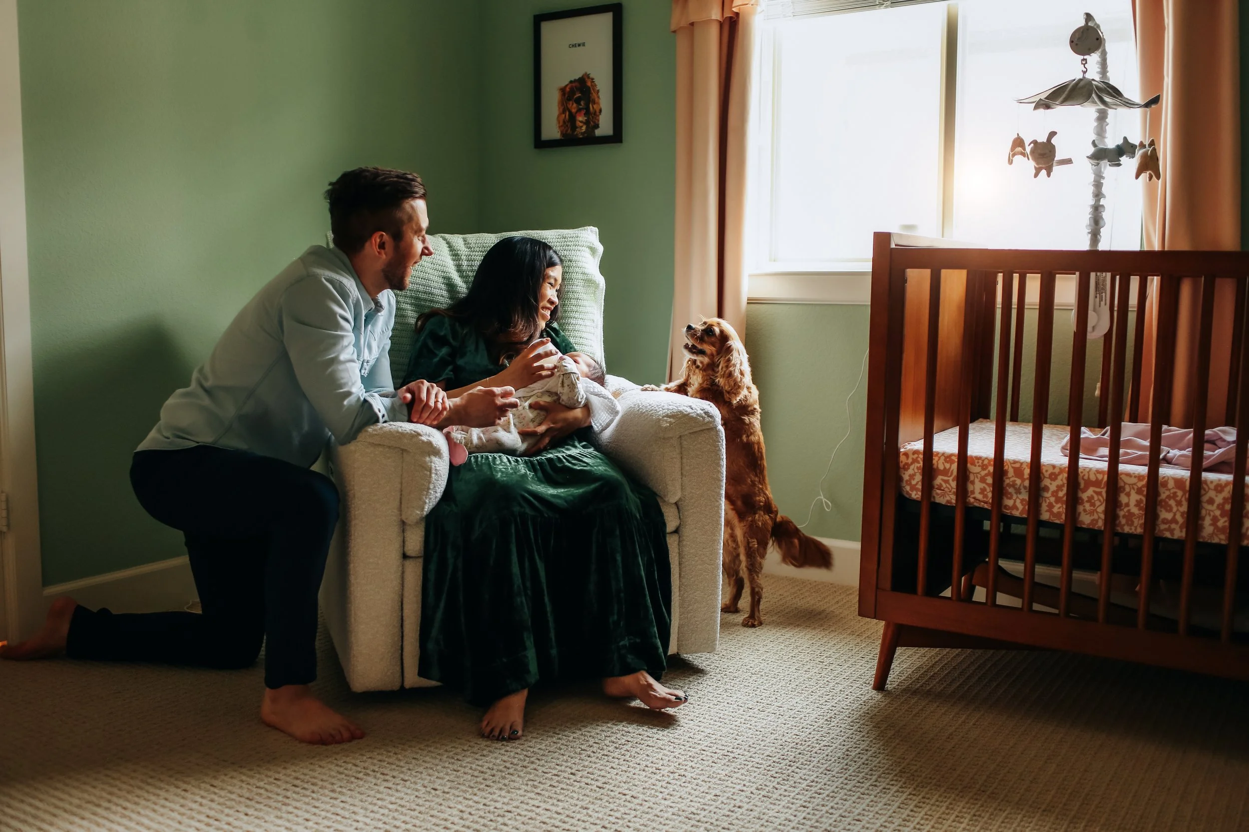 newborn-photography-lifestyle-dog-nursery.jpeg.jpg