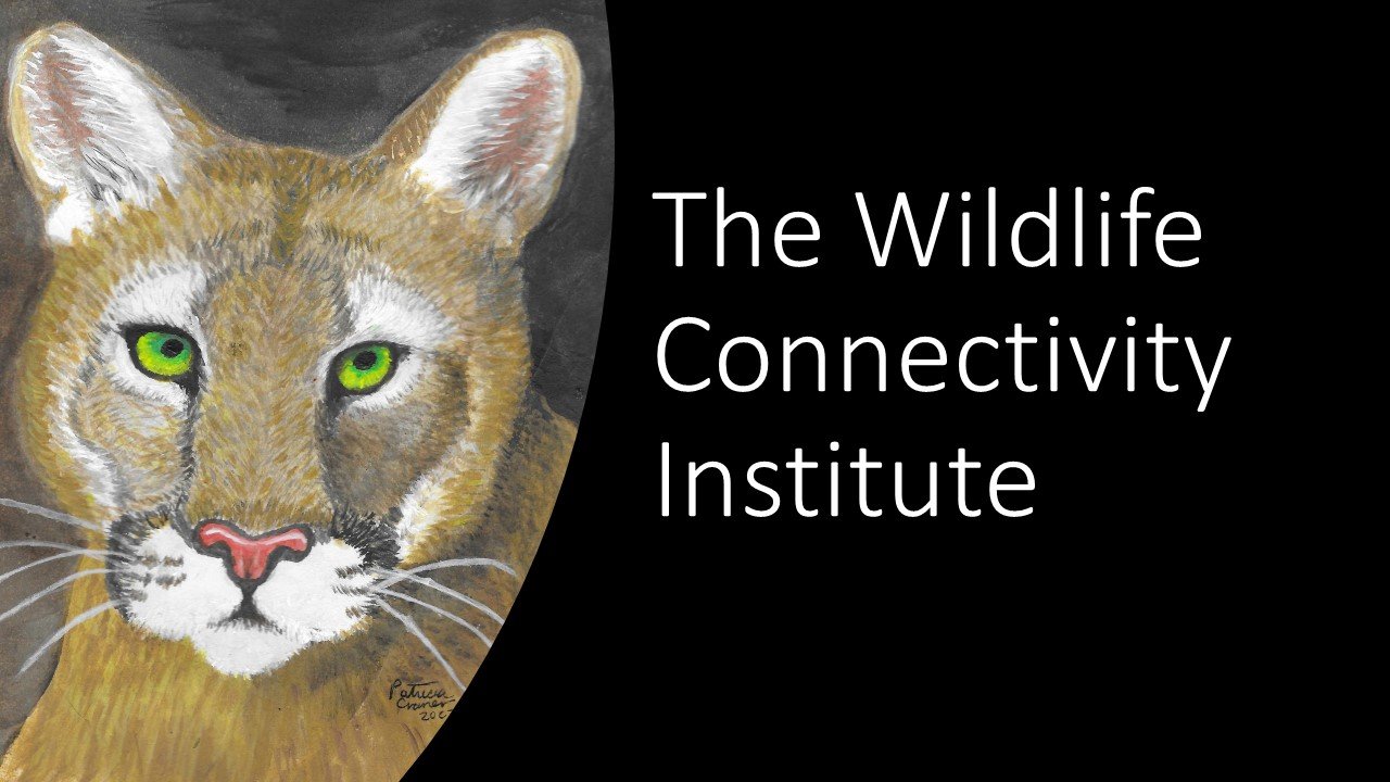Wildlife Connectivity Institute