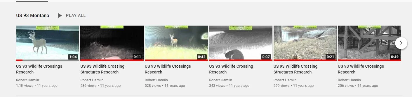 YouTube Channel of US 93 Wildlife Videos