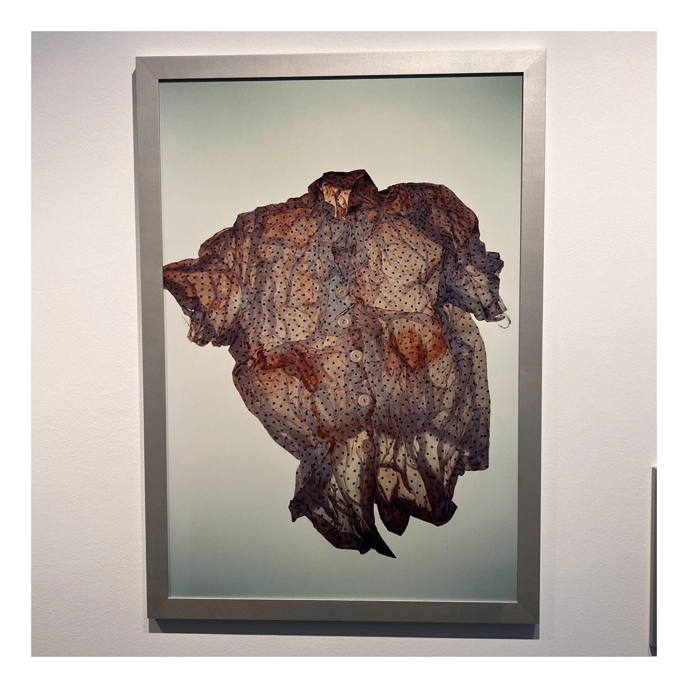 A framed artwork on a white wall showing a crumpled, sheer, polka-dotted fabric in shades of brown and beige, with ruffled edges and buttons.
