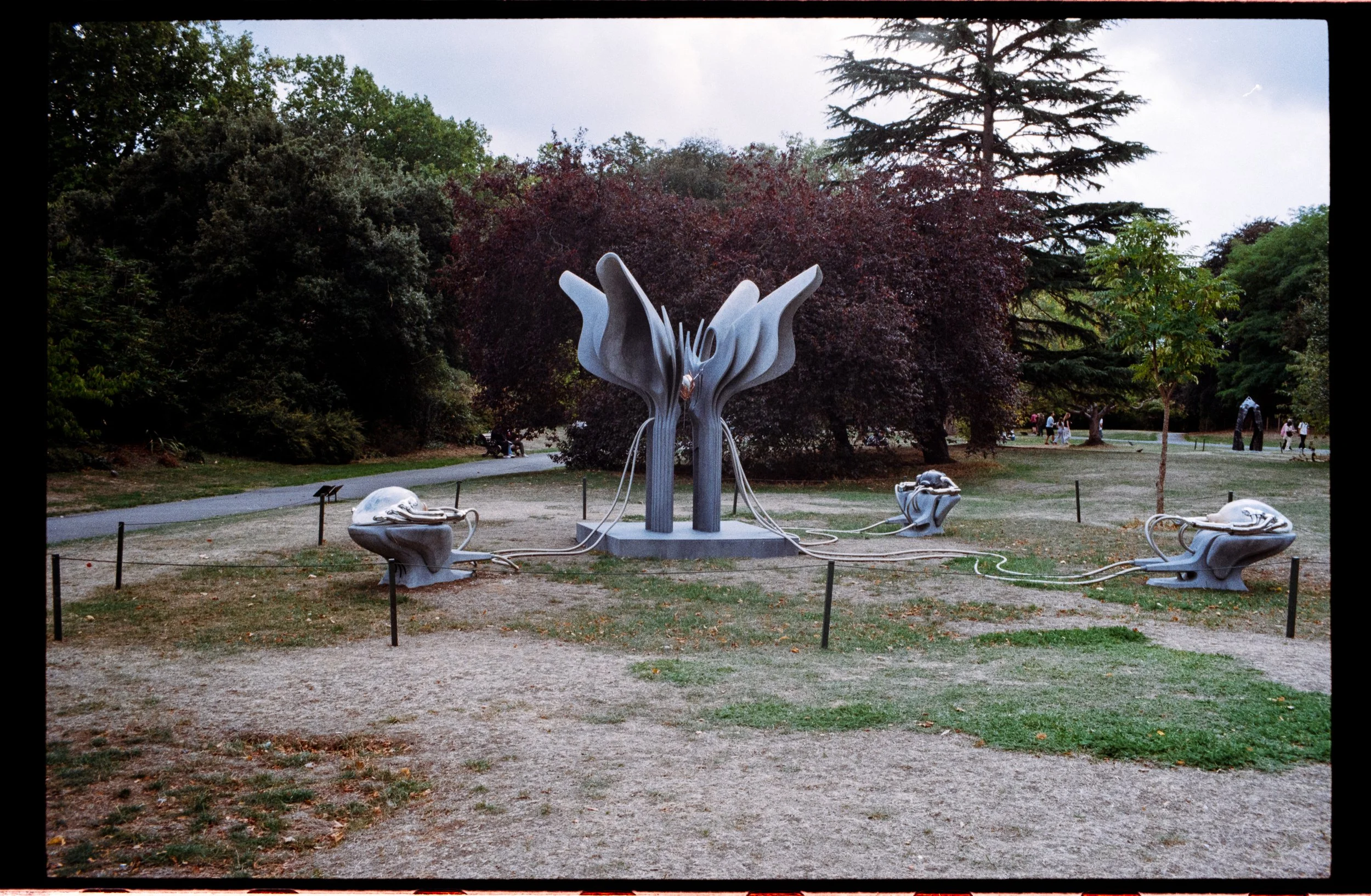 Leica M6 Summicron 35