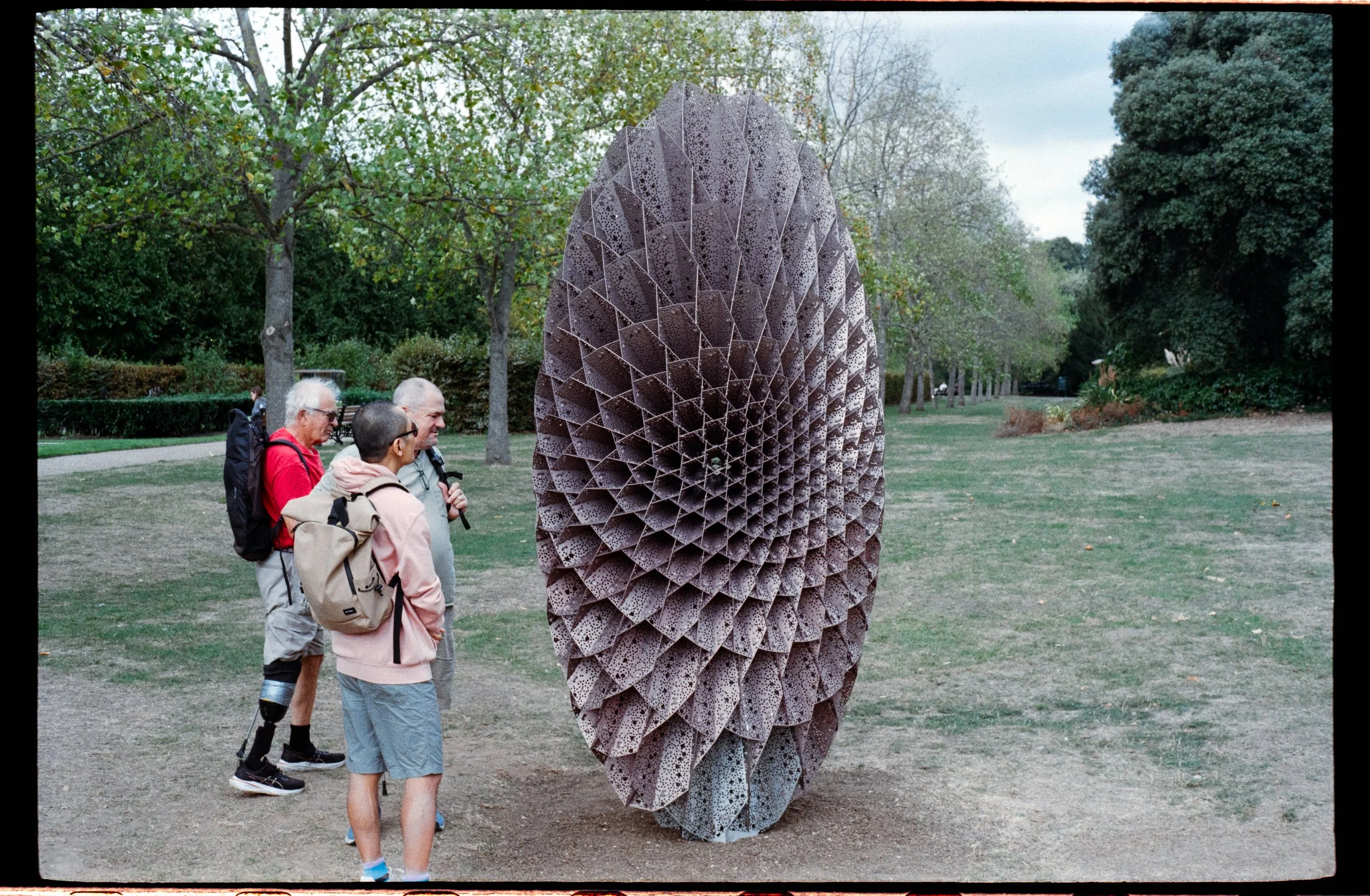 A group of four people standing outdoors in a park, examining a large, uniquely designed wooden sculpture resembling an elongated, textured egg or seed.