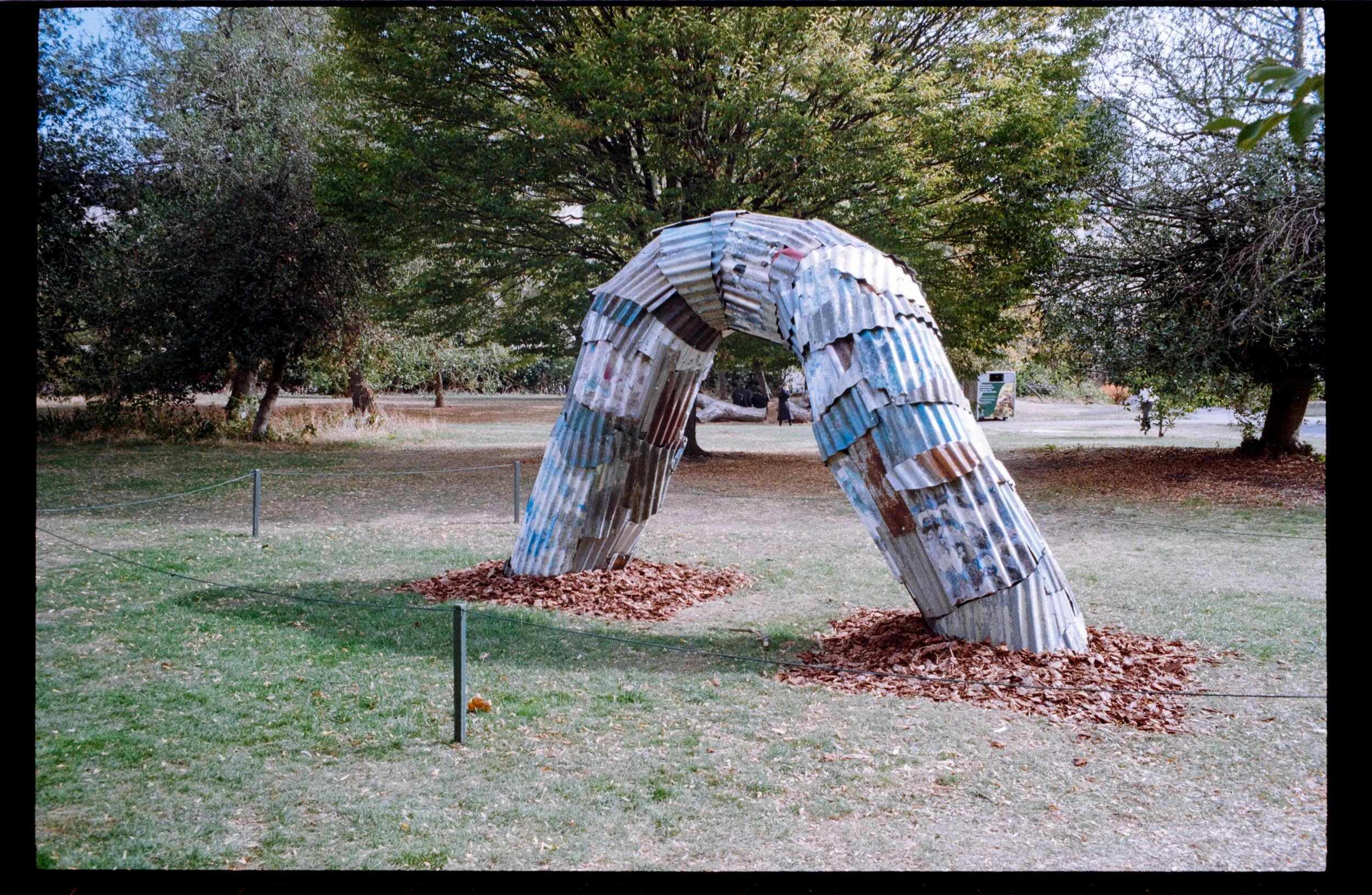 Leica M6 Summicron 35
