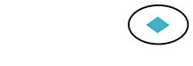 Turkey Mountain Traders