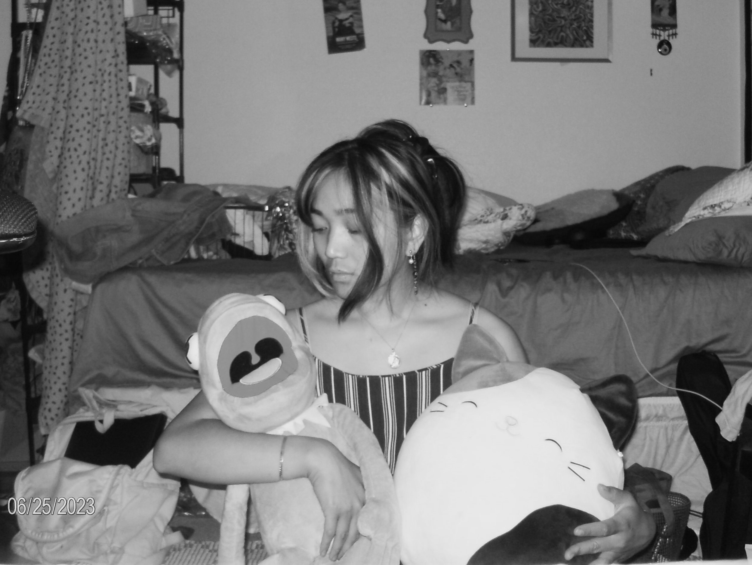 multimedia explorations