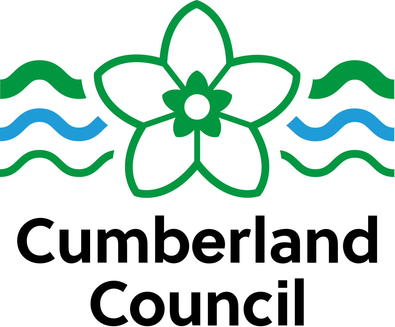 Cumberland_Council_logo.svg.webp