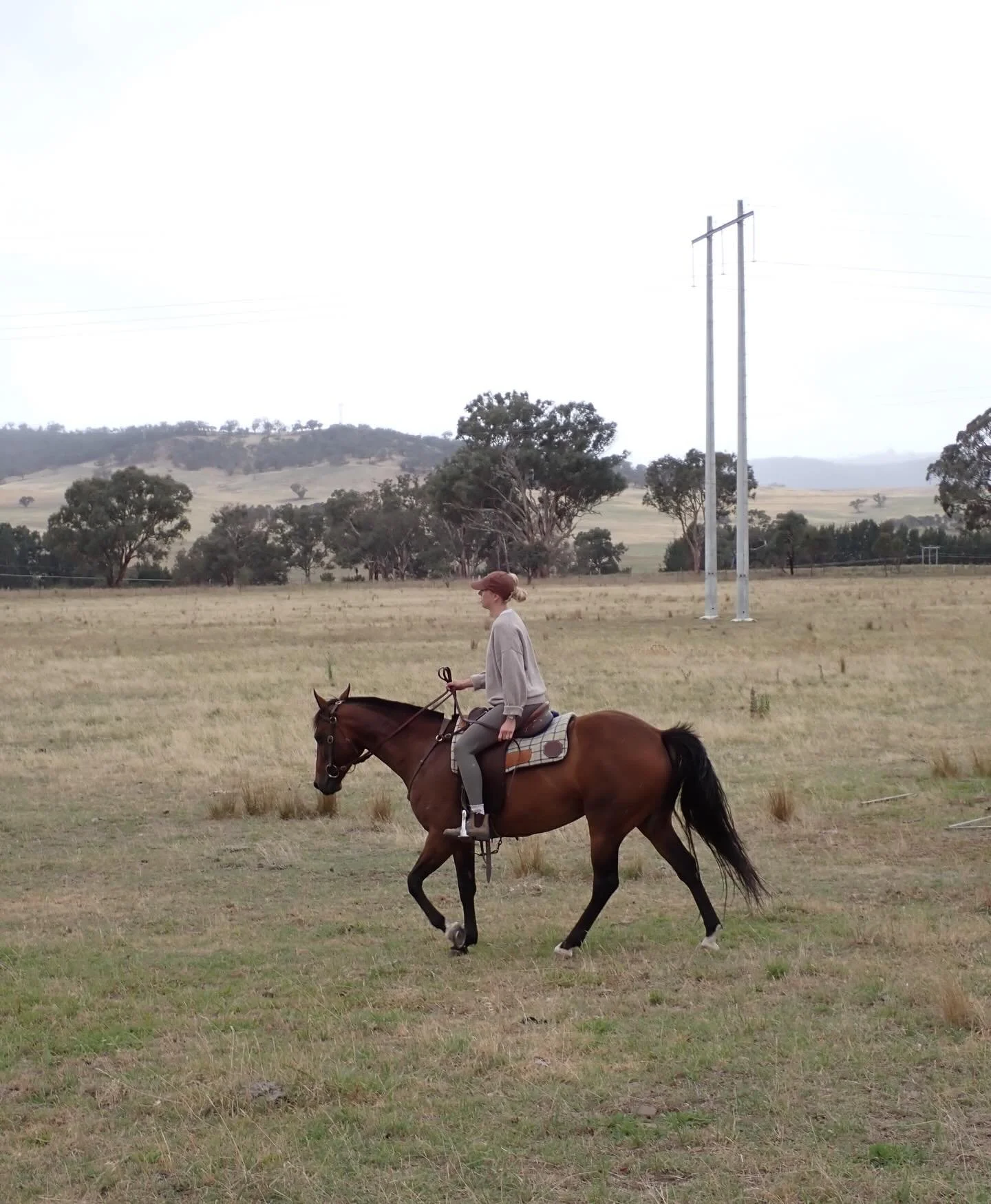 Week 3/52 🌻☕️✨🌞

1. It&rsquo;s been a while since I&rsquo;ve been in the saddle!
2. Working on some projects! 
3. Sunflowers are blooming 🌻
4. Brothers and matching shorts 🫶🏼
5. Homemade sushi
6. A special tote 🤍🌼
7. Chilli scrambled! Obsessed