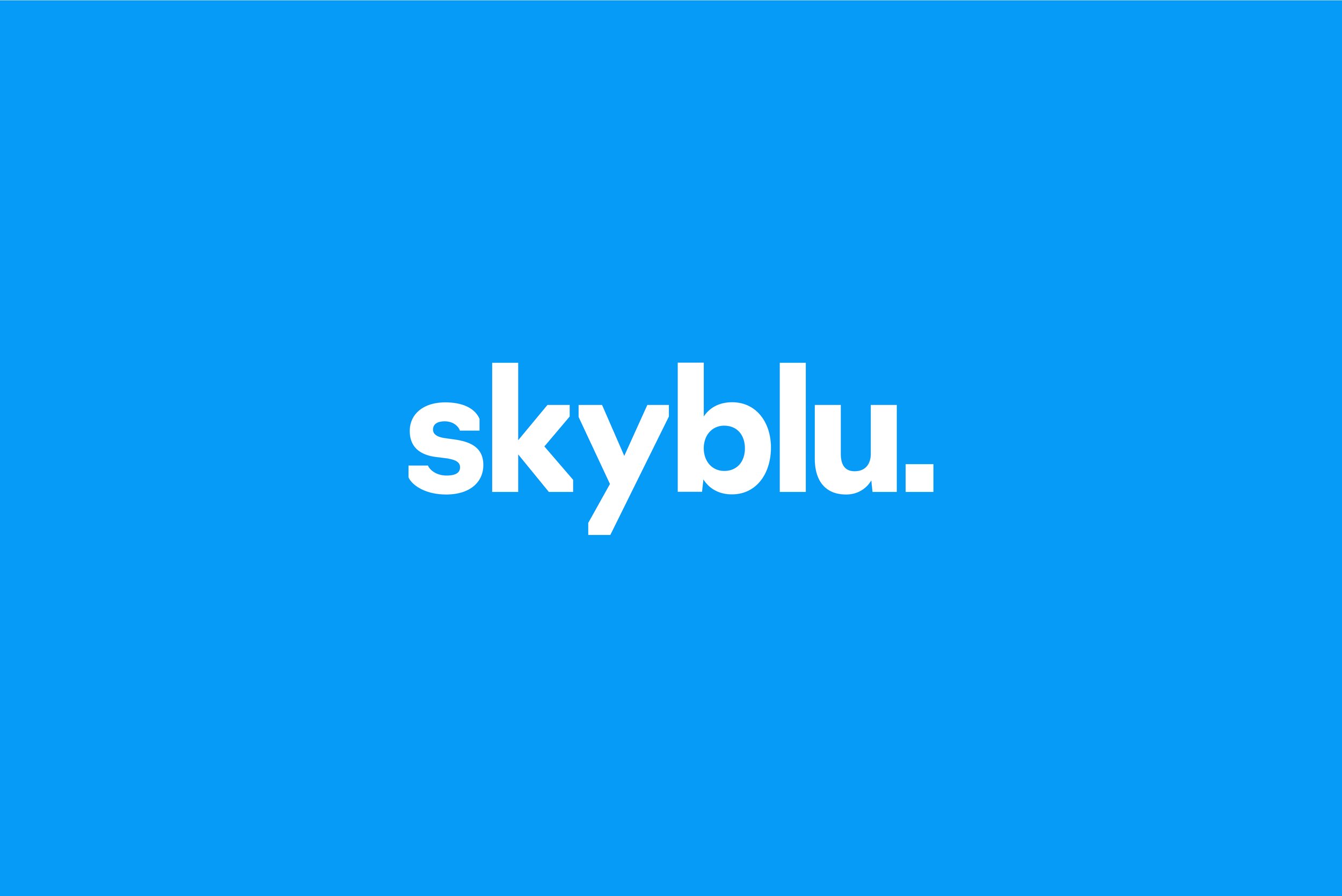 Skyblu_mainlogo_.jpg
