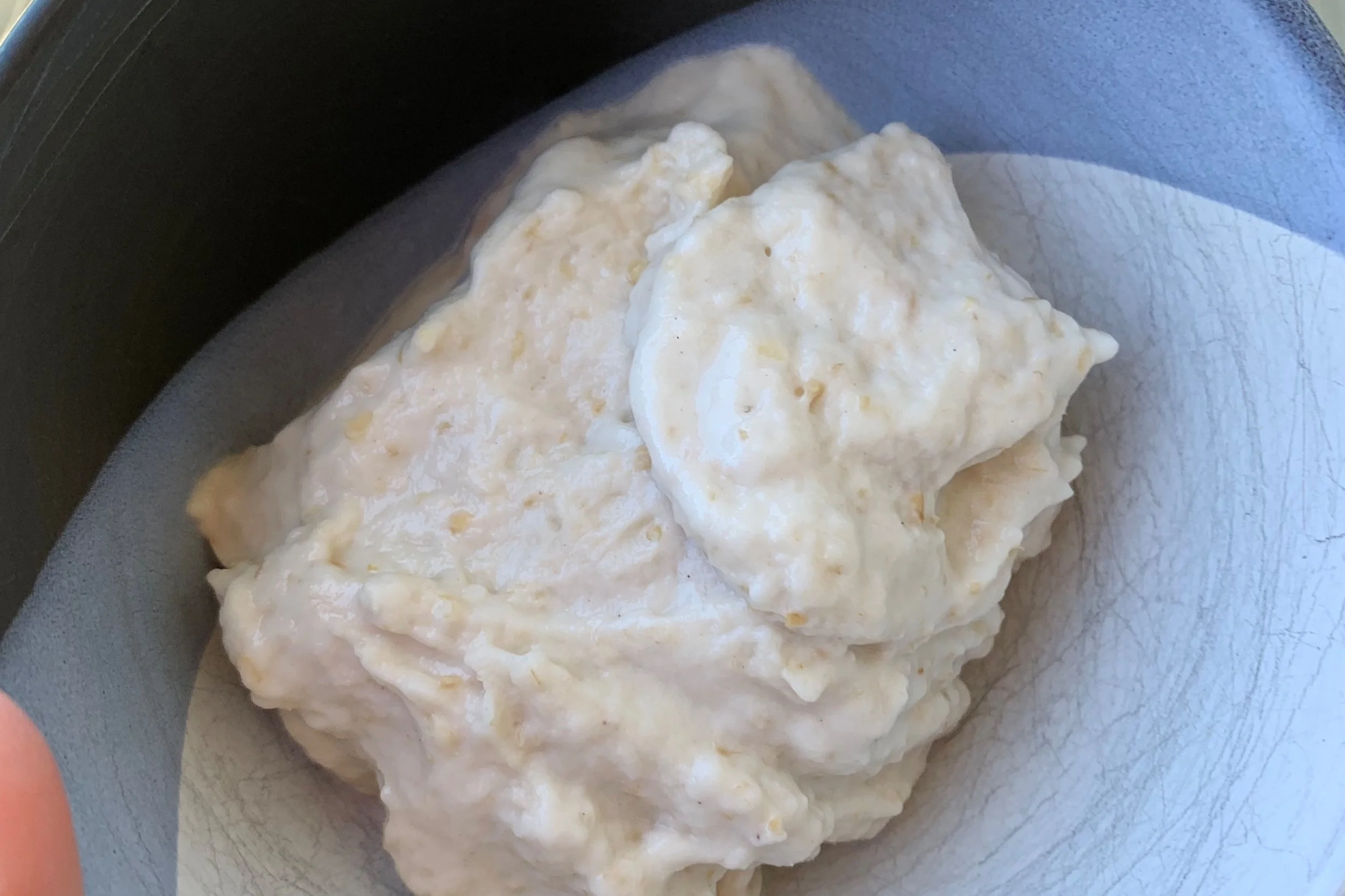 Sourdough starter
