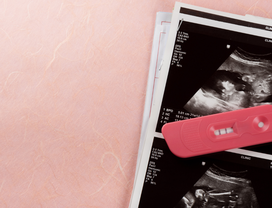 First Trimester