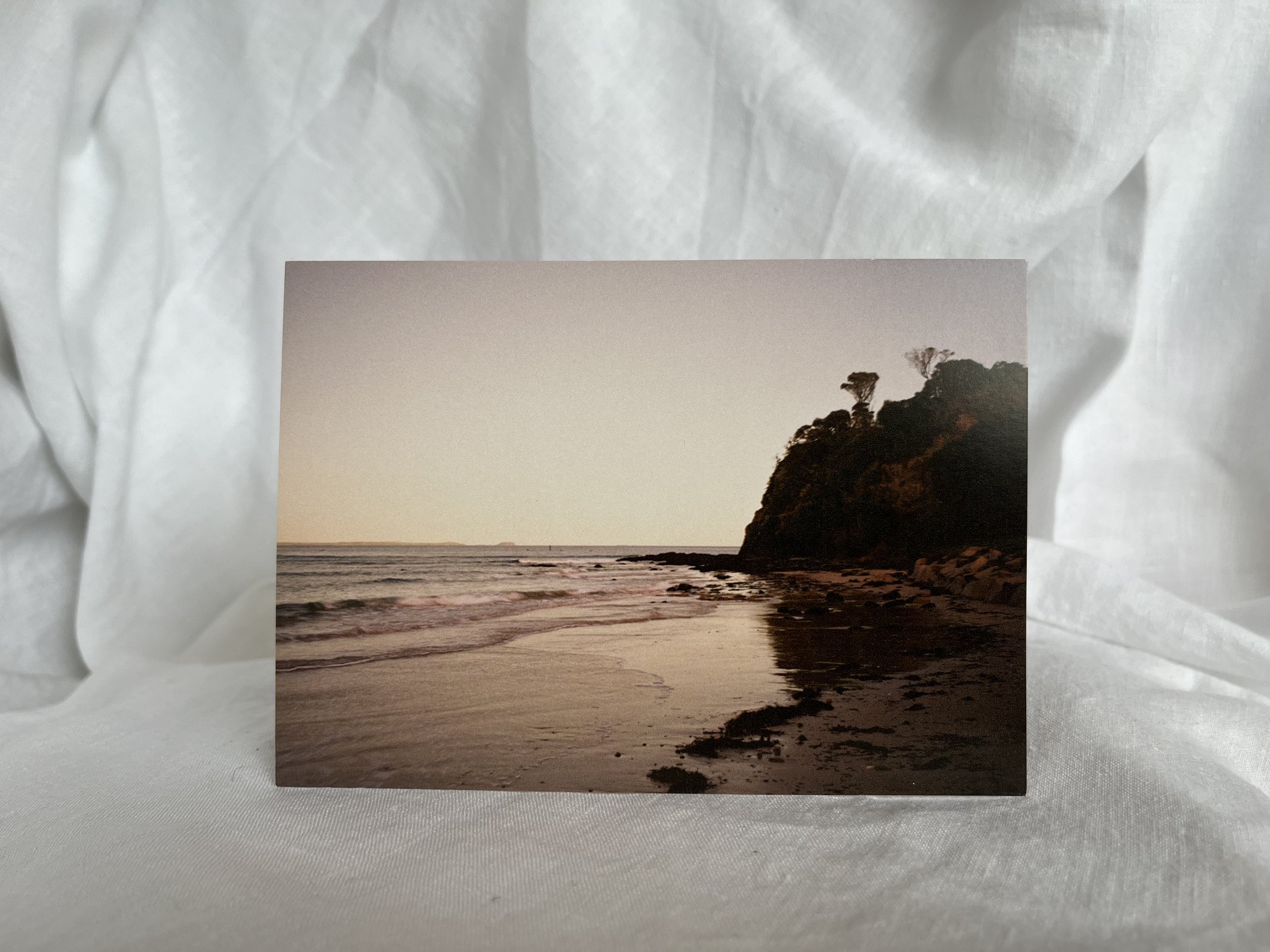 IMG_0874.jpeg