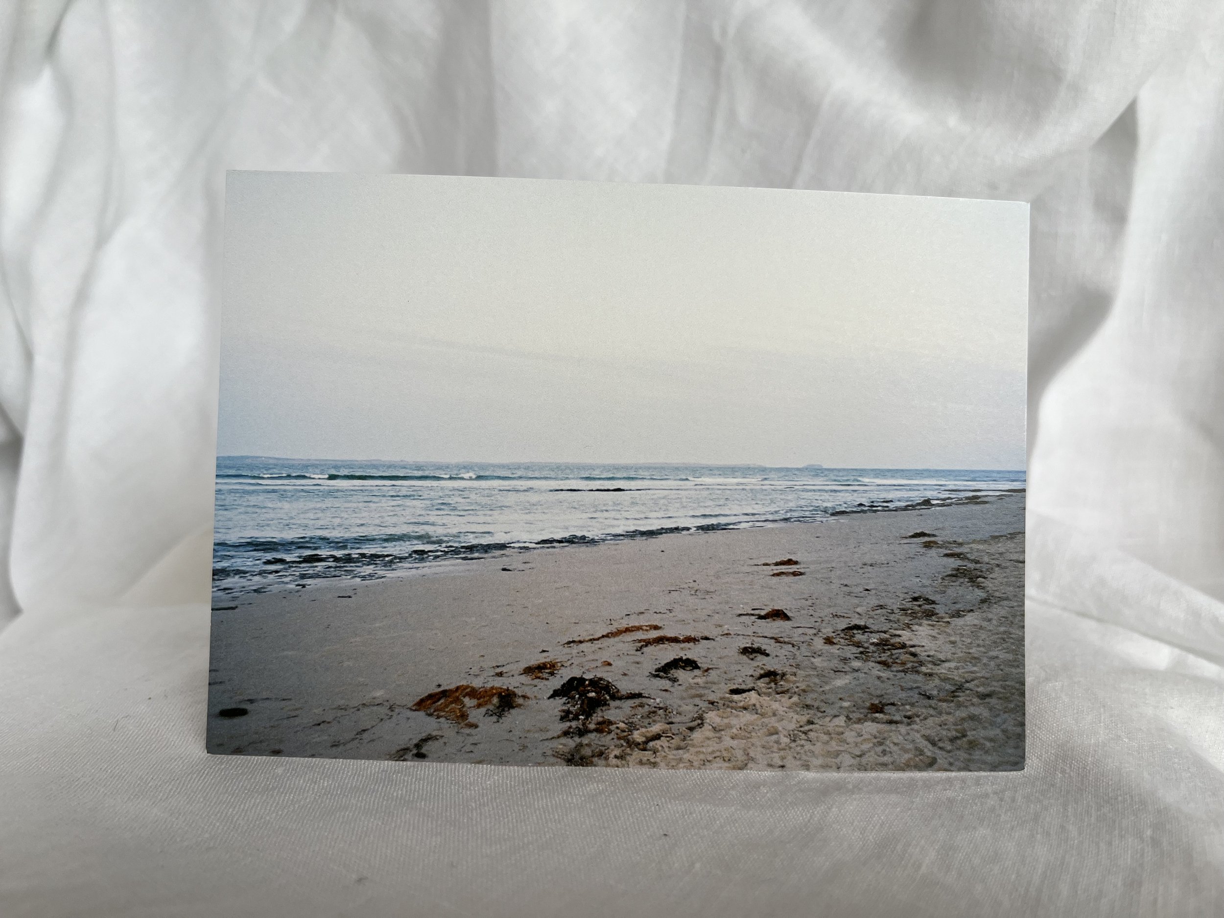 IMG_0876.jpeg